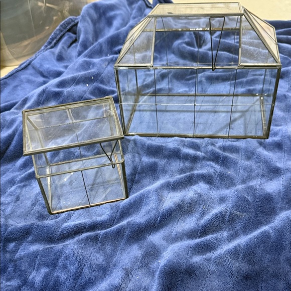 None Other - Glass Terrarium Display Boxes - Set of 2